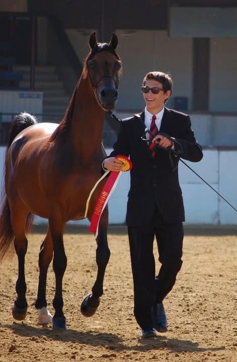 Byahorse